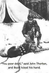 buck_licks_thortons_hand174259.jpg